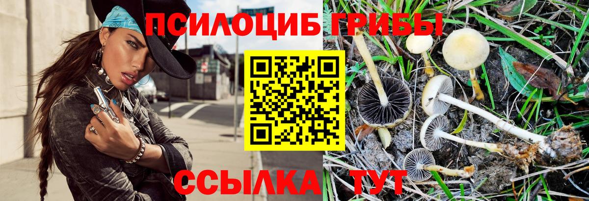 Псилоцибиновые грибы прущие грибы Нижнеудинск