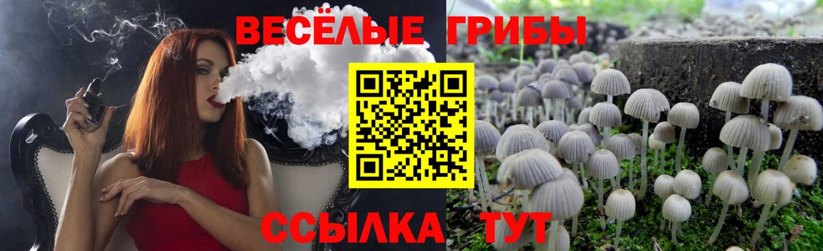 Нижнеудинск  Псилоцибиновые грибы Psilocybe  Псилоцибиновые грибы Magic Shrooms  Вход с VPN 